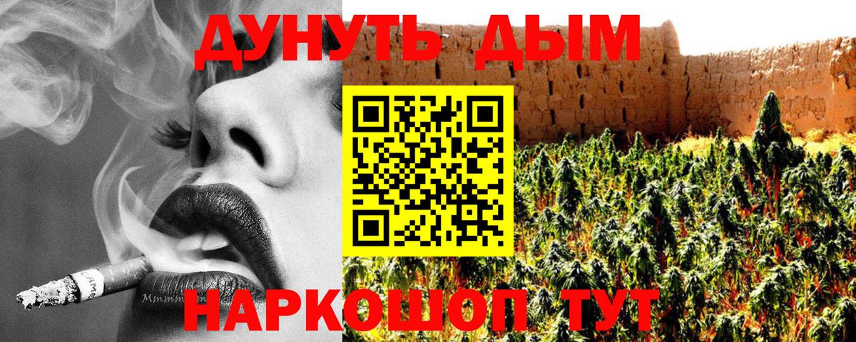 Бошки Шишки планчик Когалым